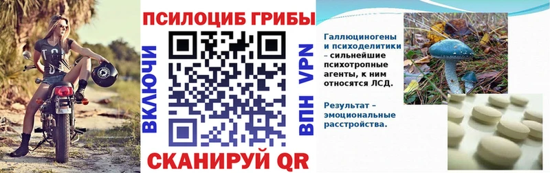 нарко площадка какой сайт  Ярославль  Галлюциногенные грибы Psilocybe 